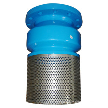 Cast Iron Foot Valve with Stainless Steel Screen